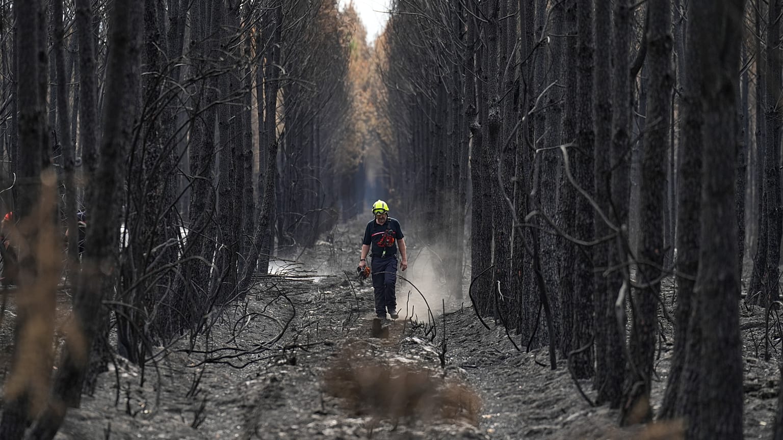 A firefighter walks through a charred forest near Blagon, during wildfires, southwestern France, Friday, 31 July 2026.