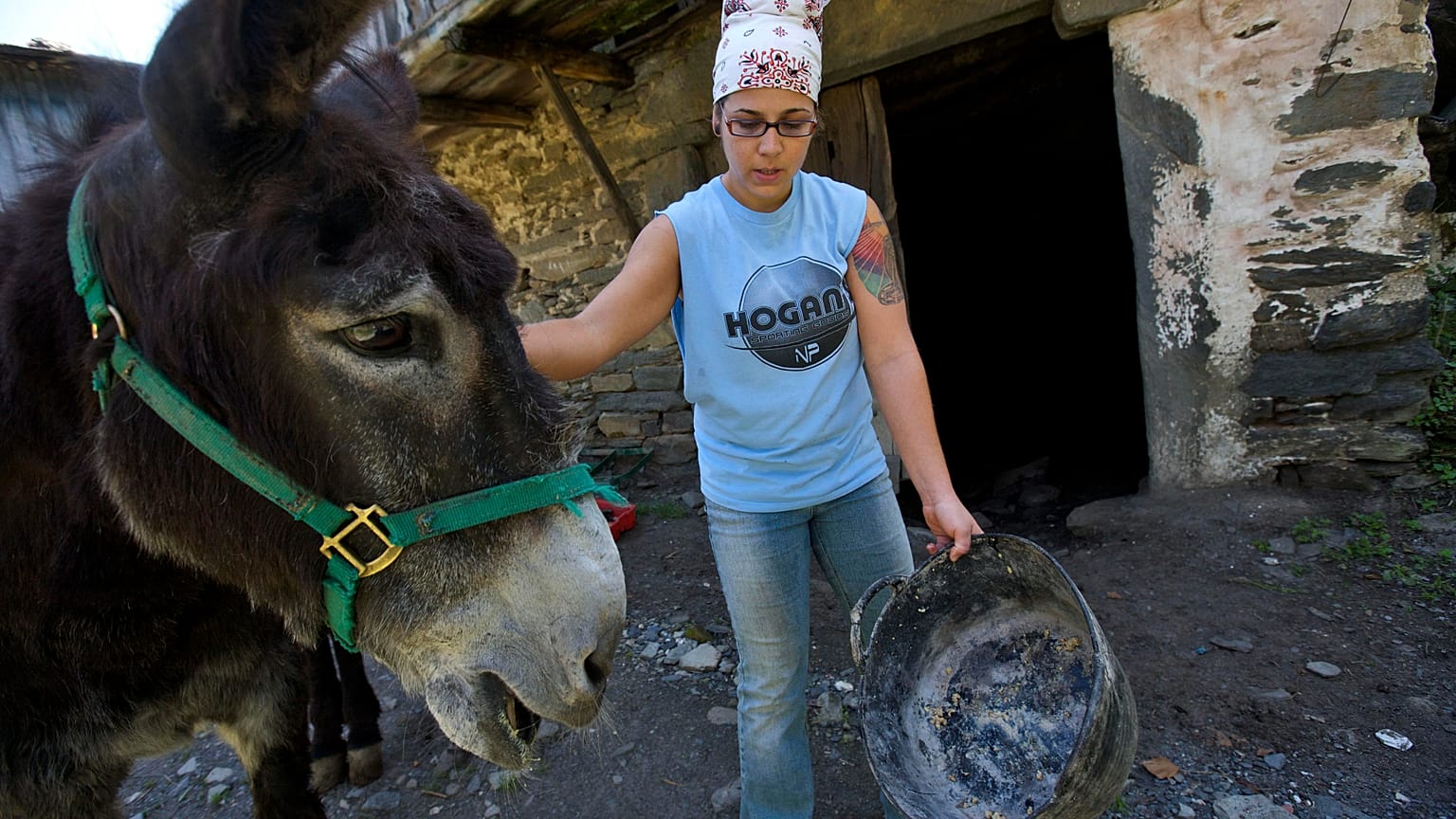 In this 15 June 2009 photograph, Andrea Rivera from Nebraska strokes a donkey after feeding it on a farm in Santoalla do Monte, Galicia.