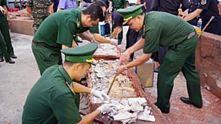 Police inspect a log that was being used to conceal 1.2-tonness of trafficked ivory at Quy Nhon port, 12 August, 2026